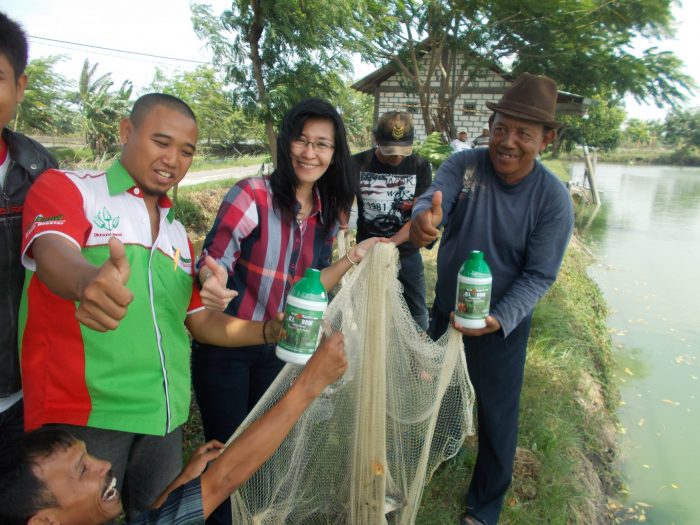 pupuk digrow untuk ikan perikanan